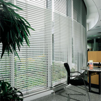 Interior Motor Alu-Venetian Blinds