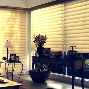 Motor Roman Blinds