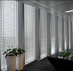 50mm Curve Motor Alu-Venetian Blinds